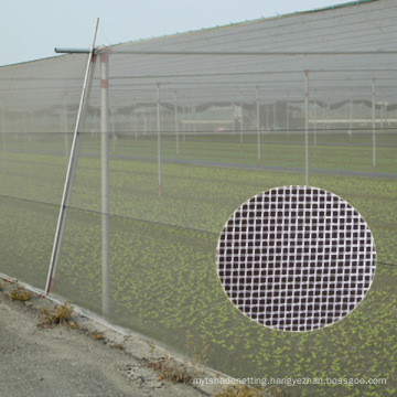 Agriculture Anti Insect Net